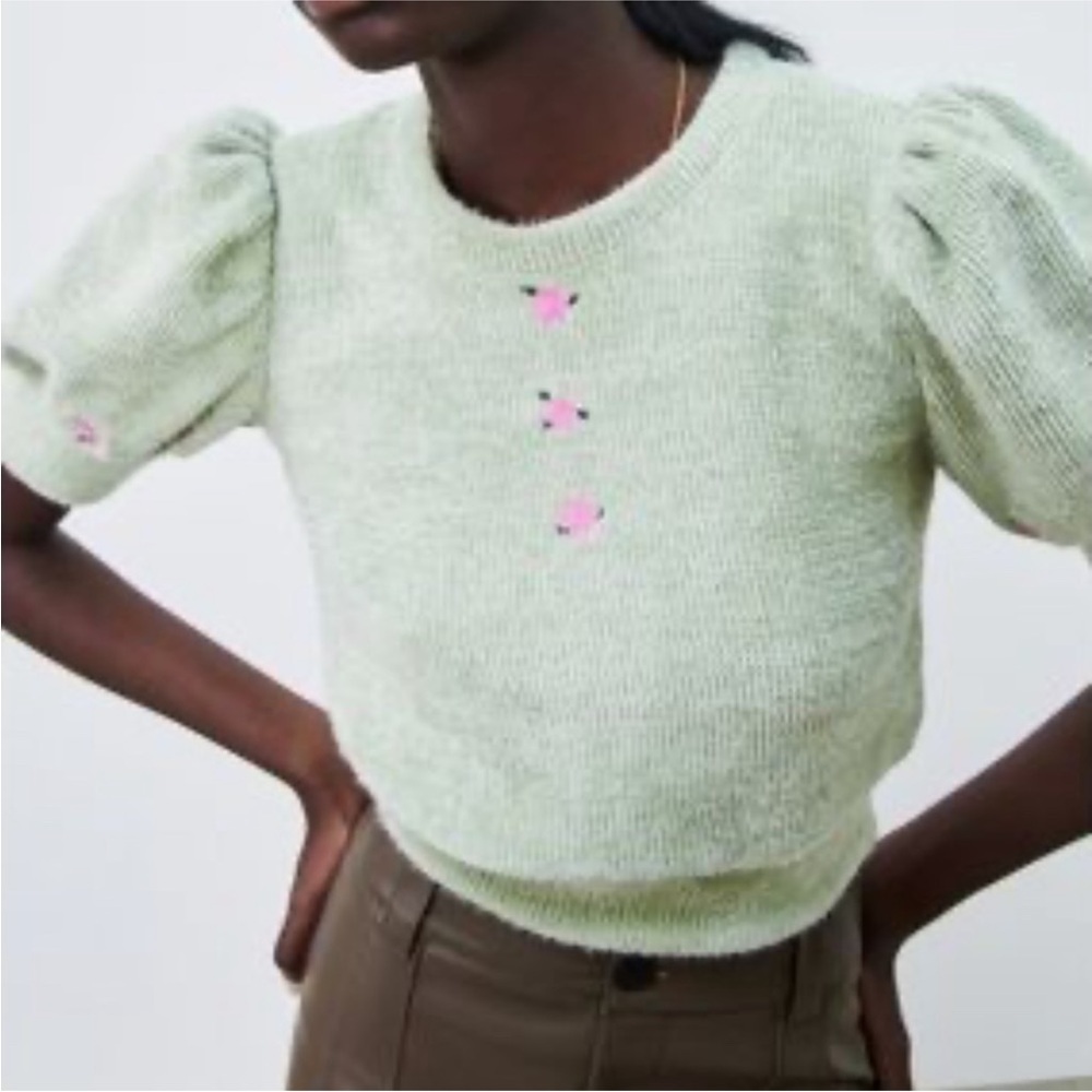 ZARA | Pistachio green knit sweater top w/ pink embroidered roses | Size S Small